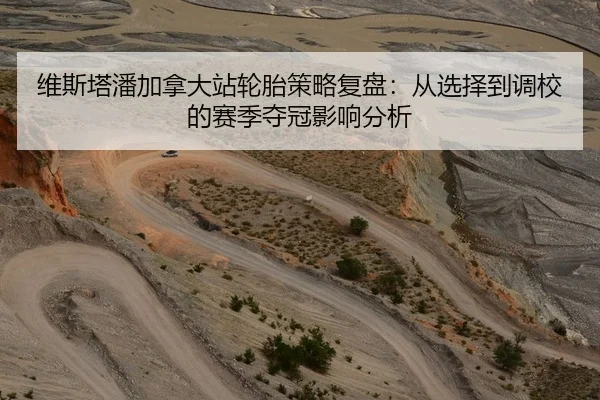 维斯塔潘加拿大站轮胎策略复盘：从选择到调校的赛季夺冠影响分析